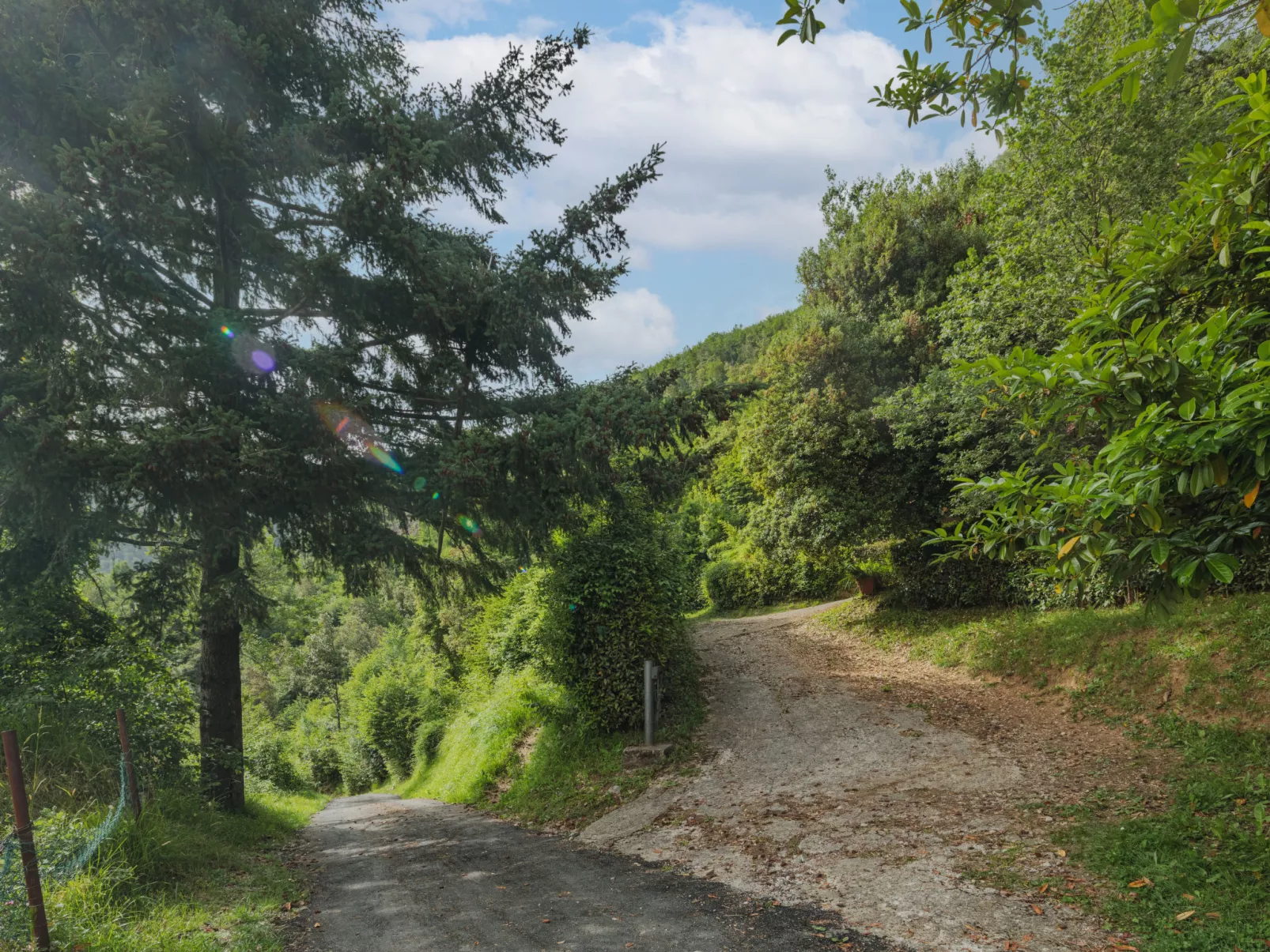 La Quercia-Dehors