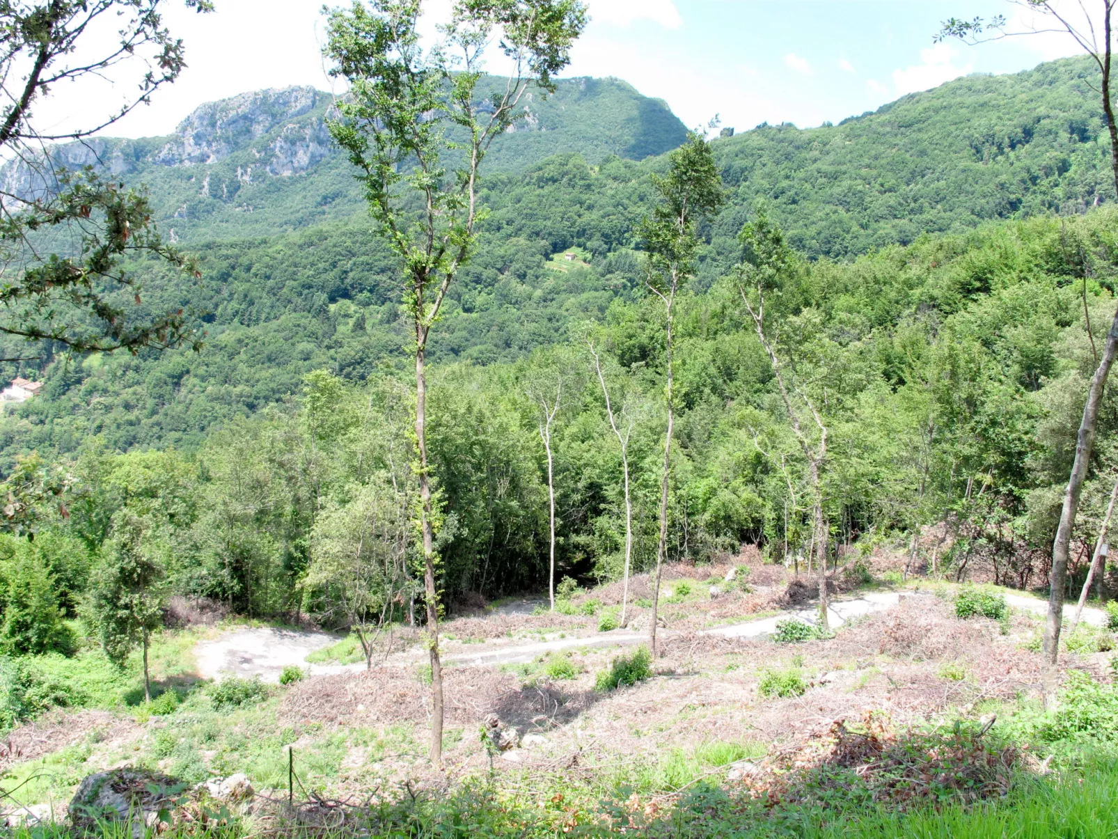 La Quercia-Dehors