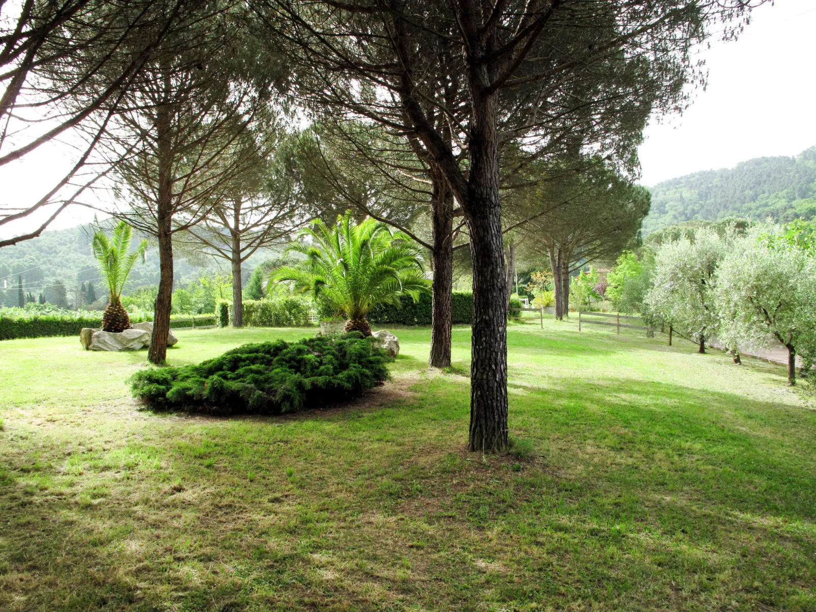Versilia-Outside