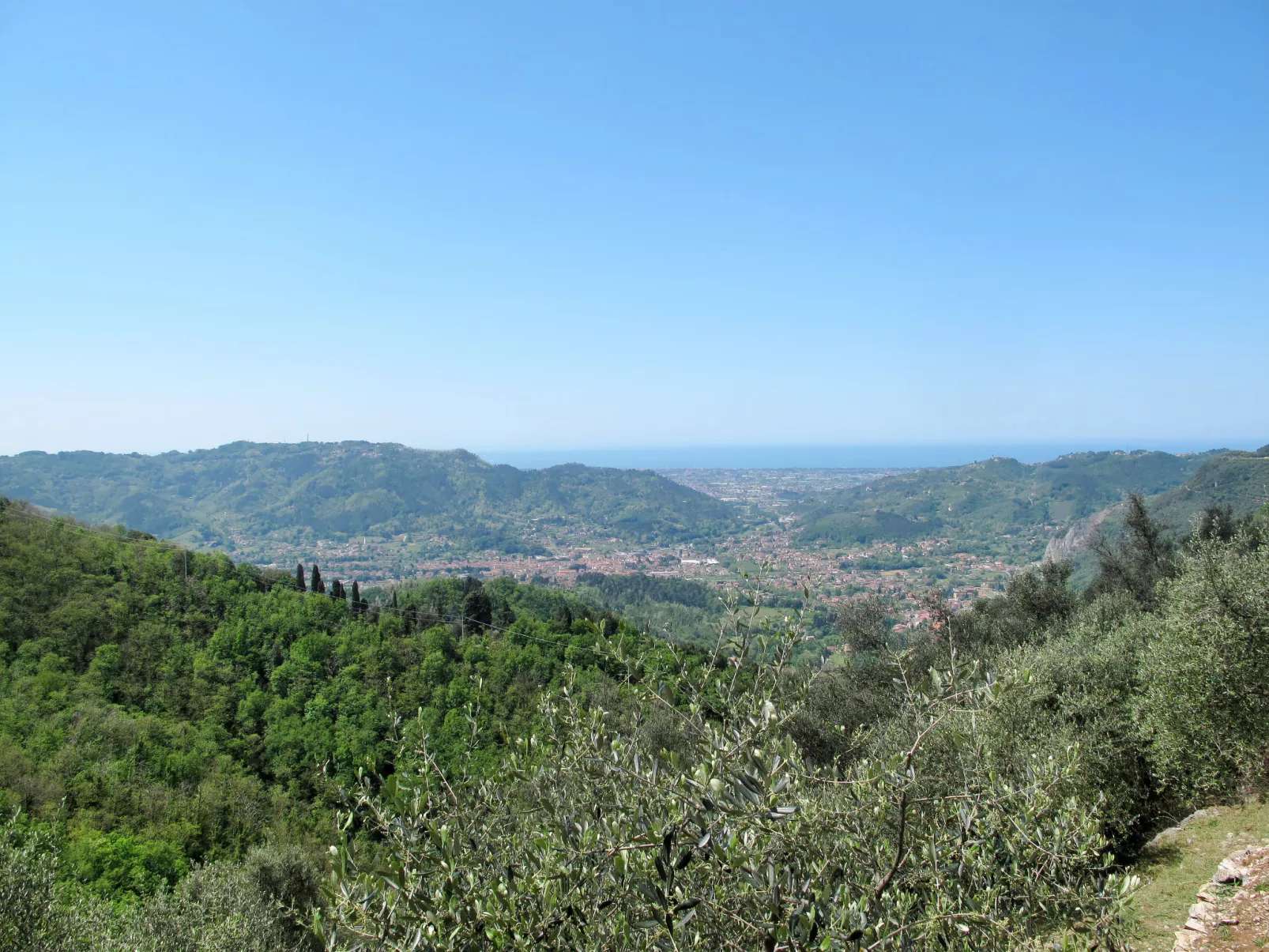 Olivella-Outside