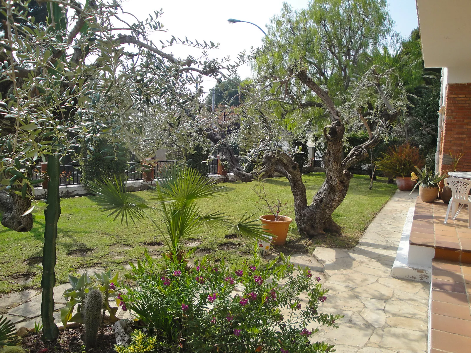 Mas Baixuli-Outside