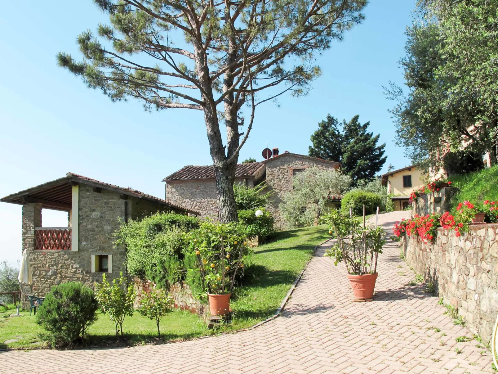 La Cupola: Papavero-Dehors