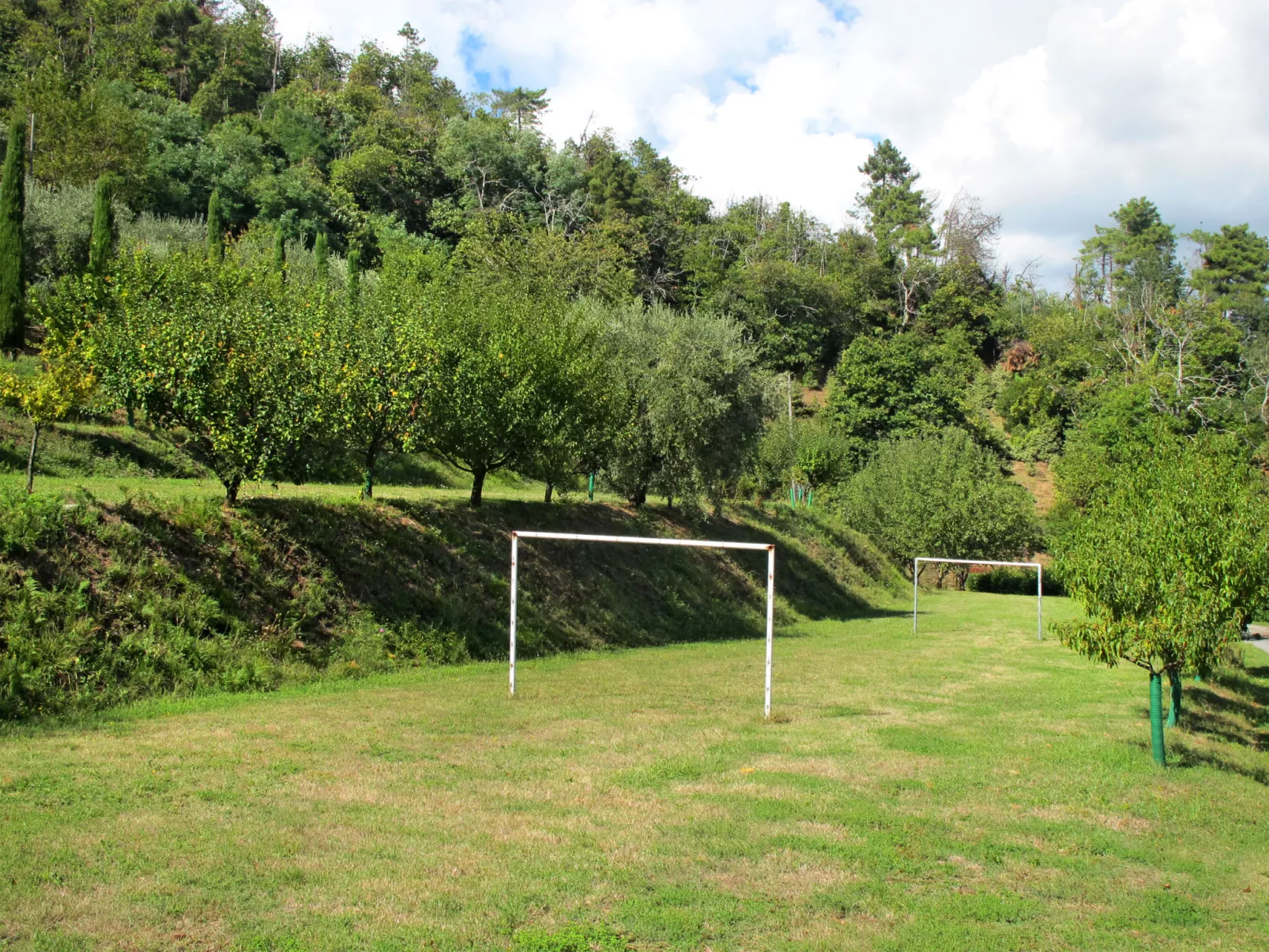 La Cupola: Papavero-Dehors
