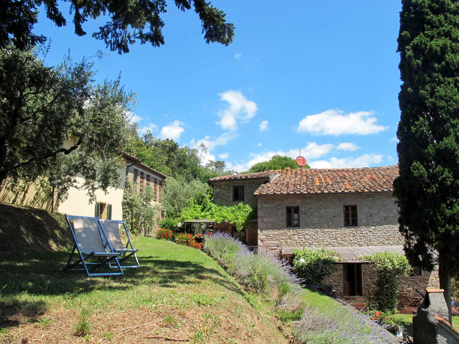 La Cupola: Papavero-Dehors