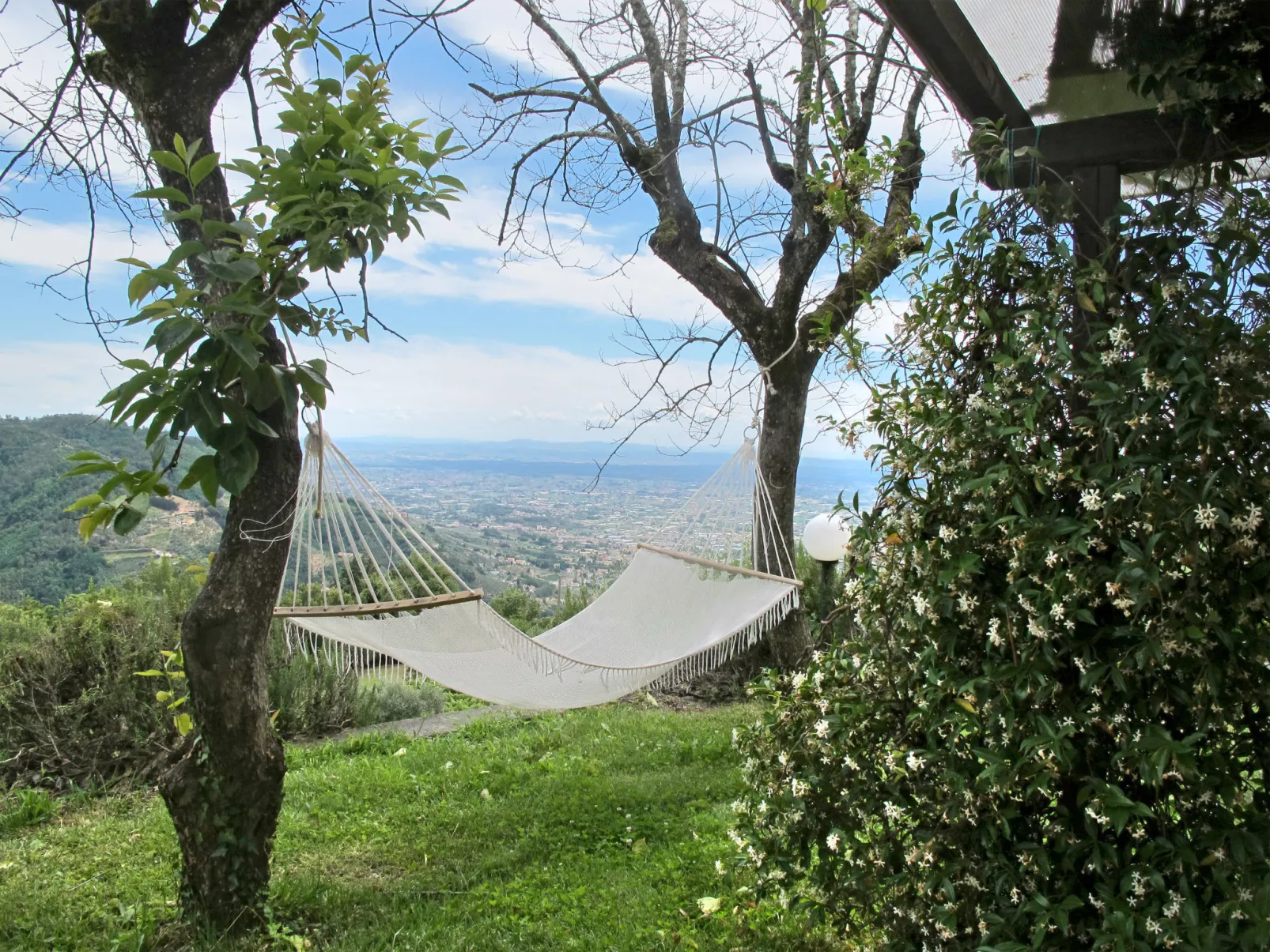 La Cupola: Tulipano-Draußen