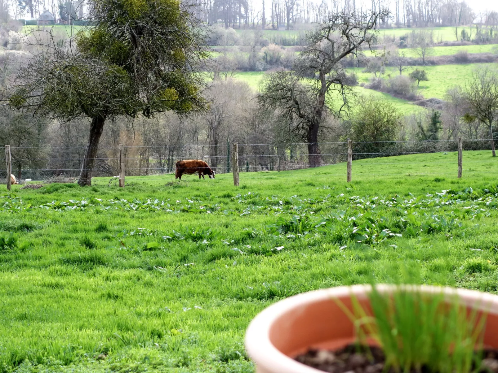 Les écuries de Callenville-Outside