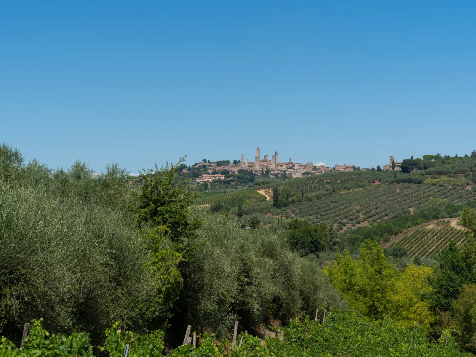 Il Sangiovese-Outside