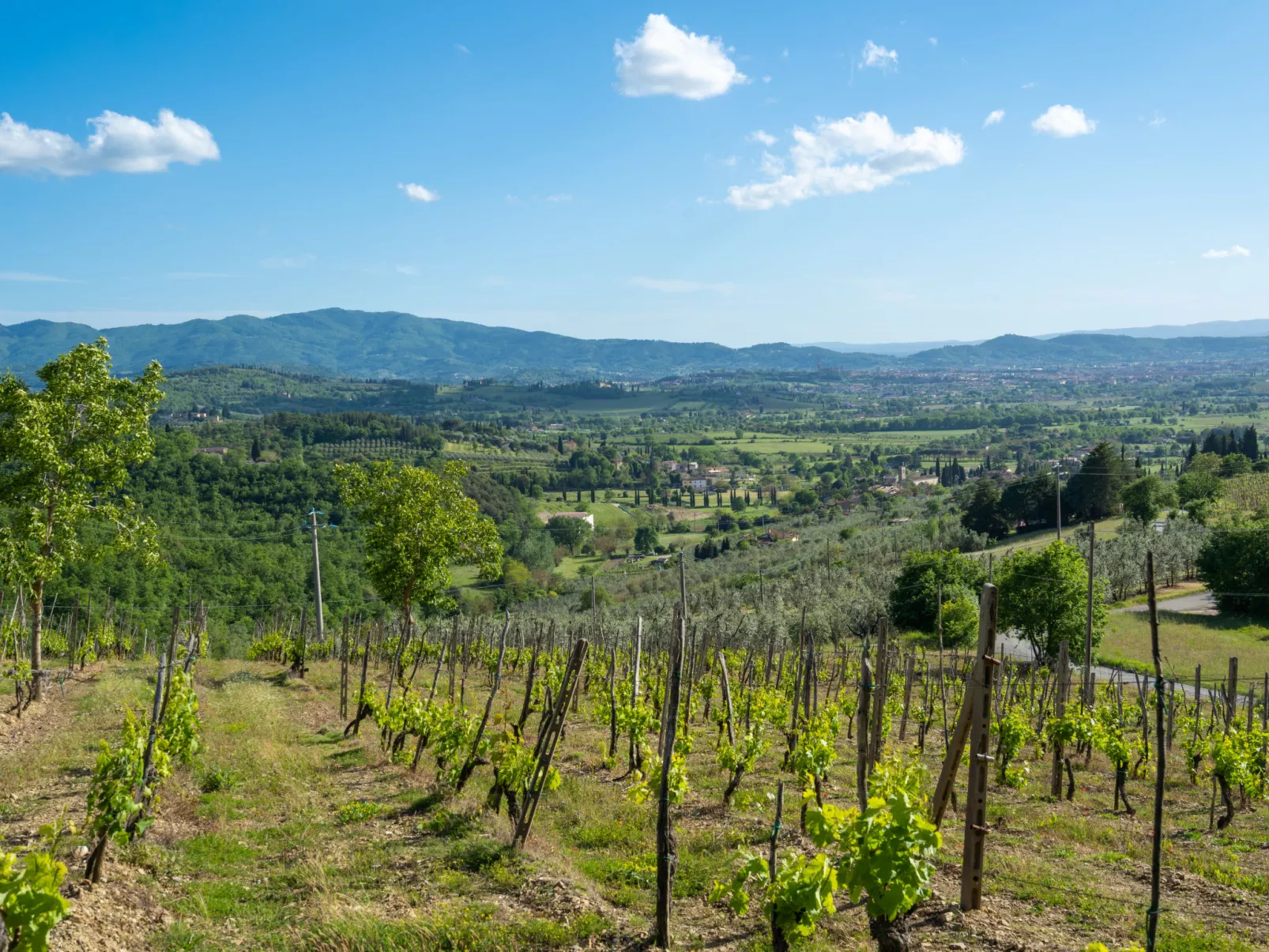 Podere Il Castello-Outside