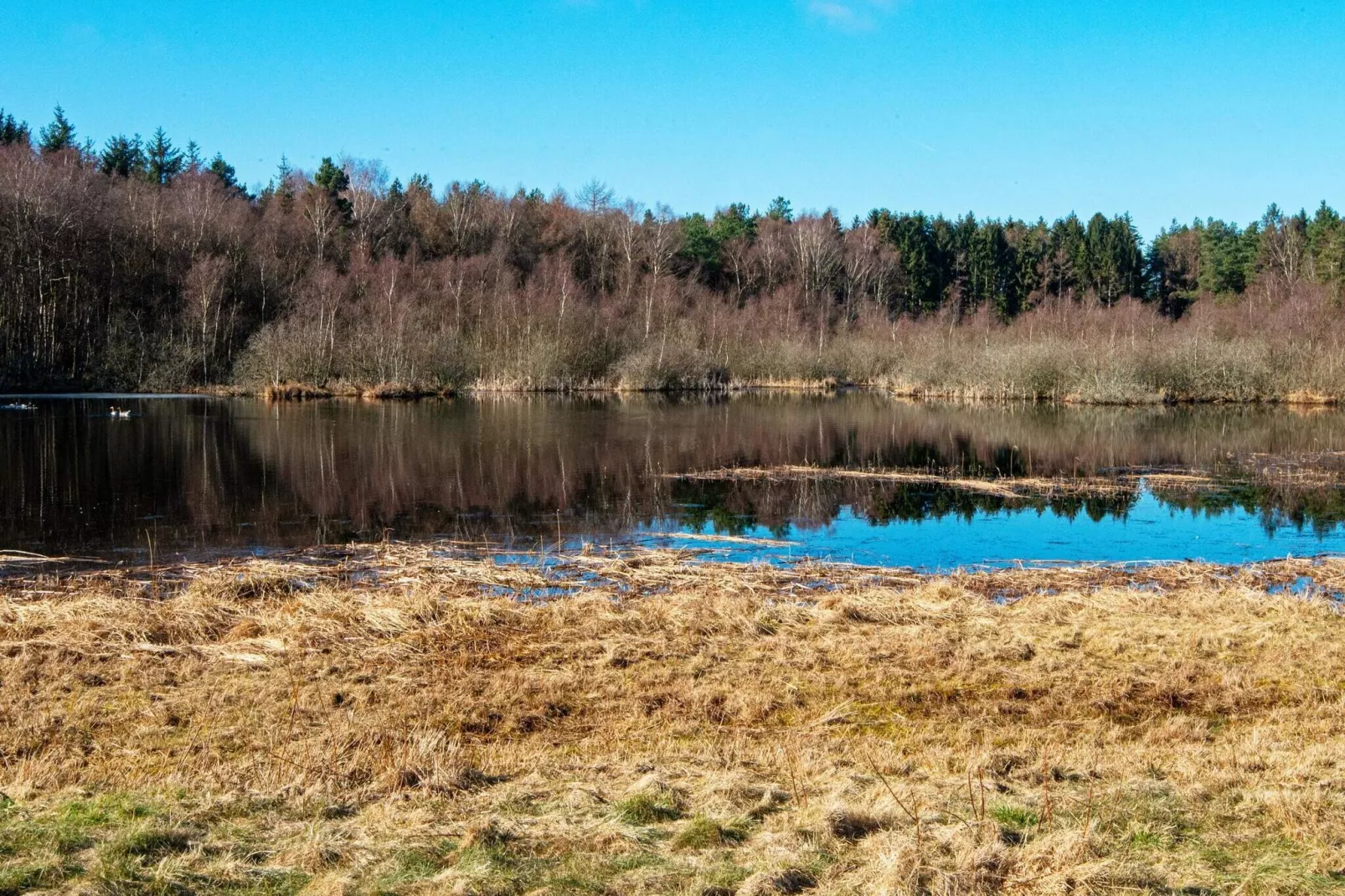 Maison de vacances pour 8 a Ebeltoft-Non tagué