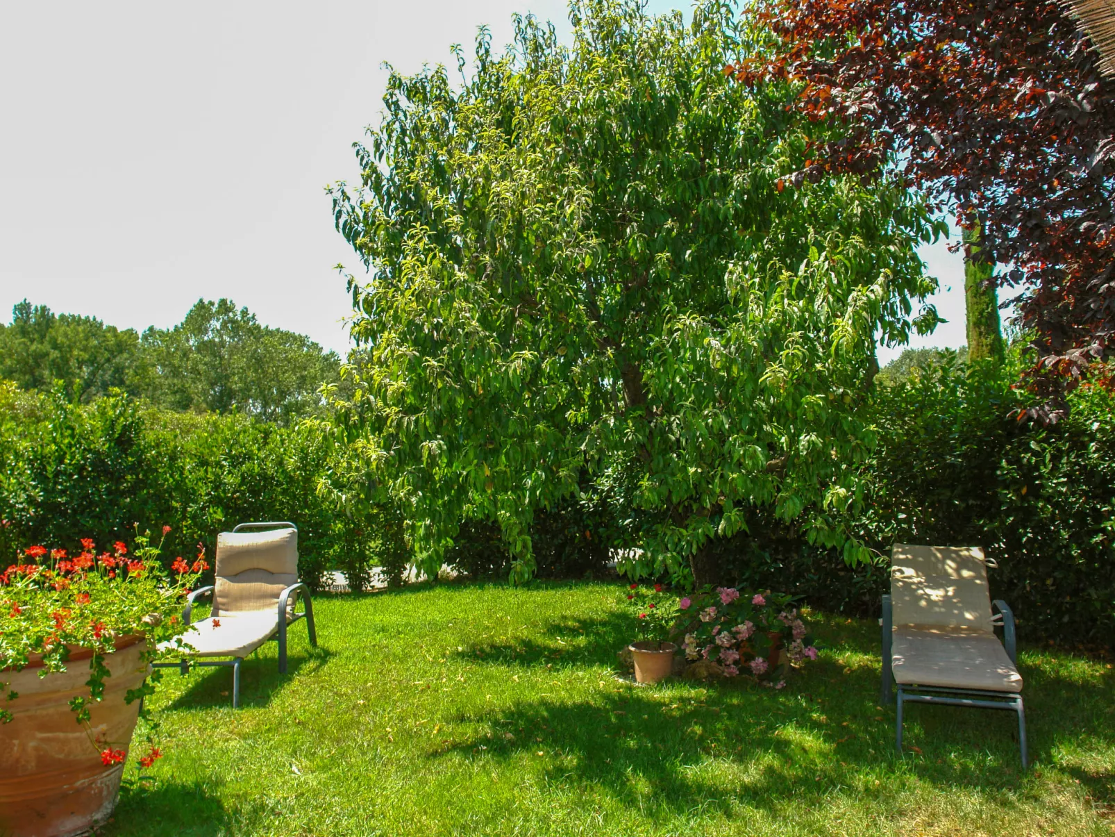Podere Gioia-Outside