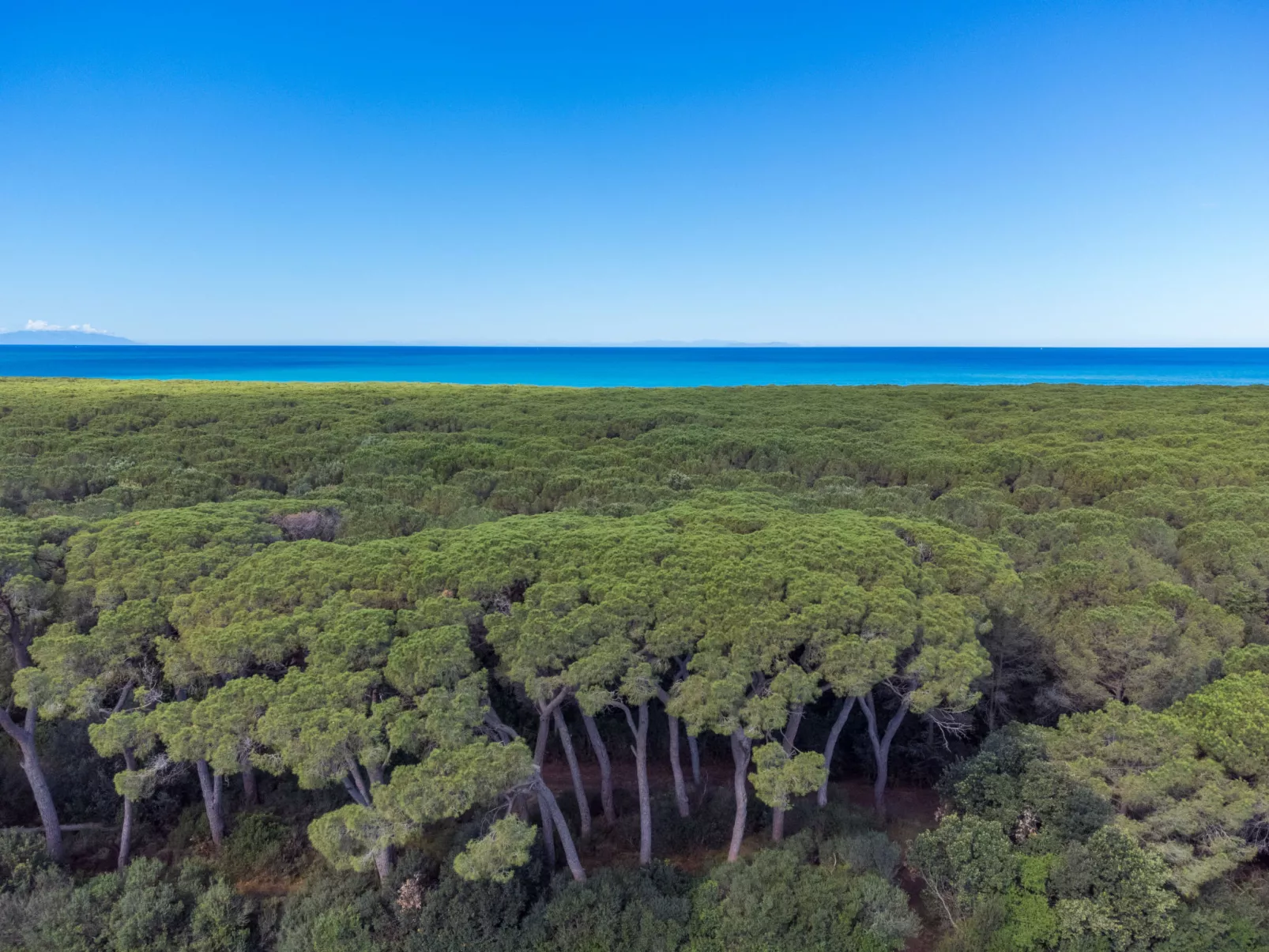 Cecina Mare-Area
