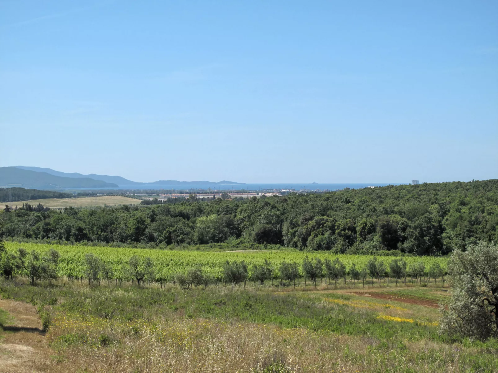 Campo Fiorito-Outside