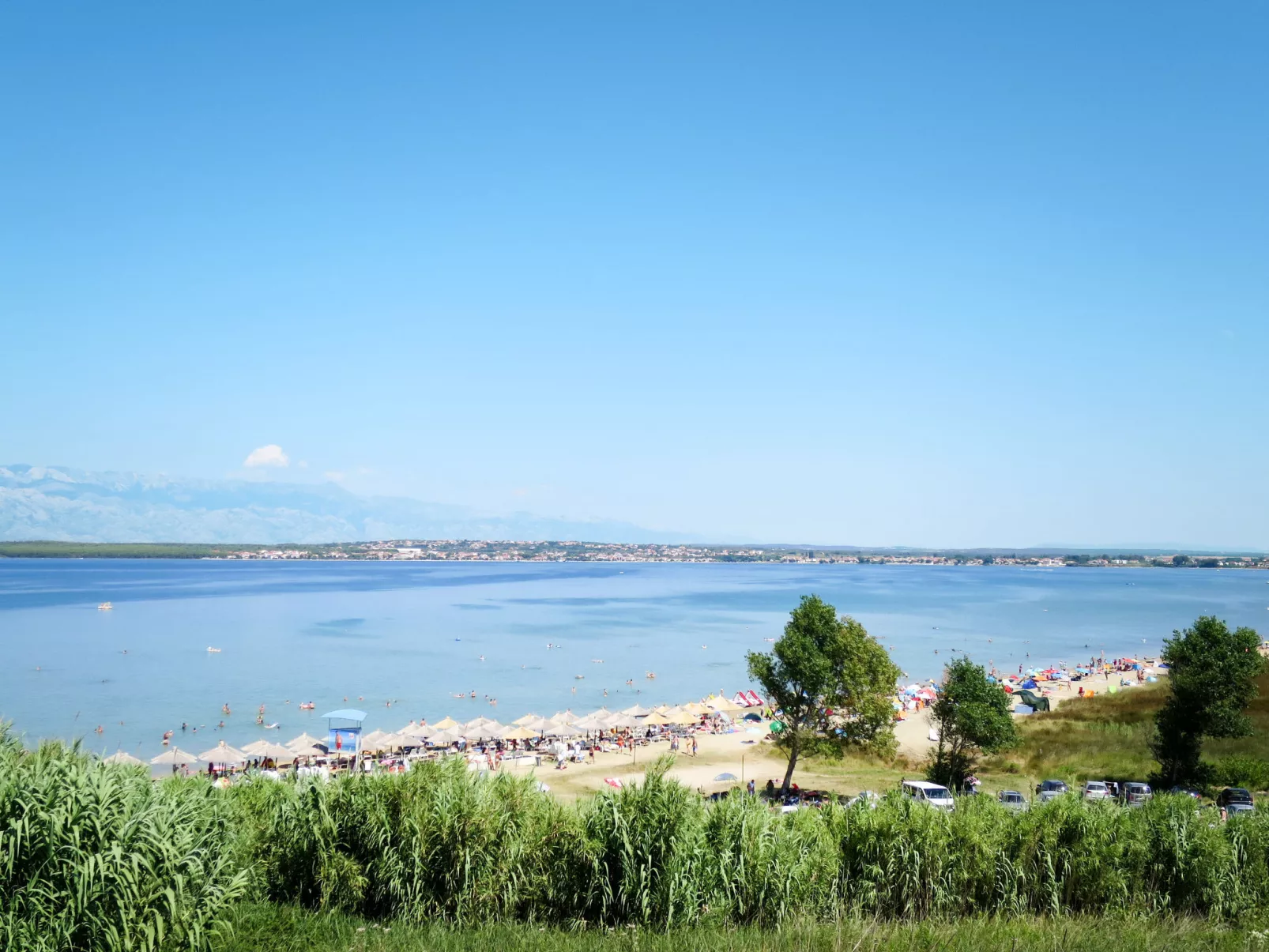 Mirjana-Area