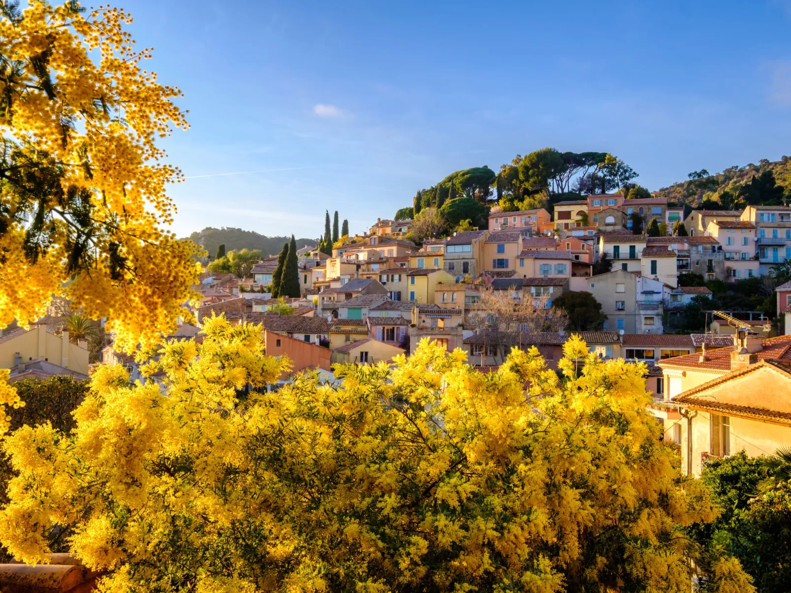 Côte d'Azur-Area