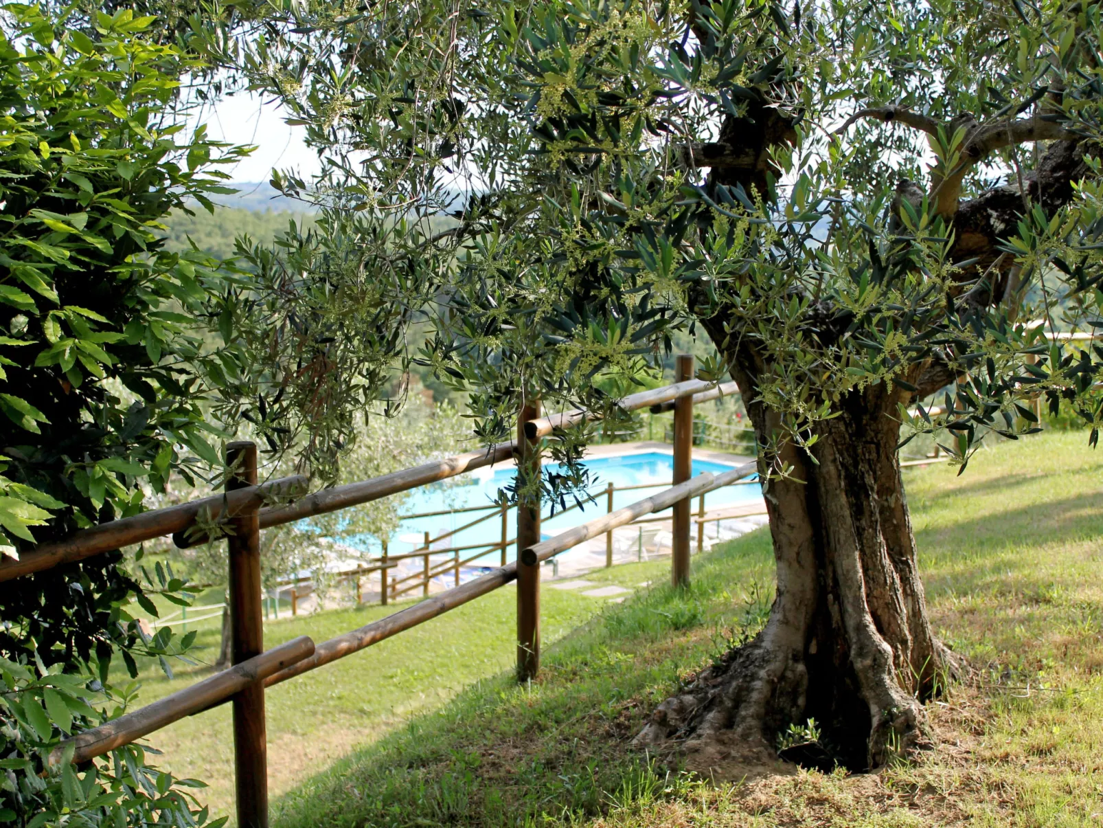 Malagronda-Outside