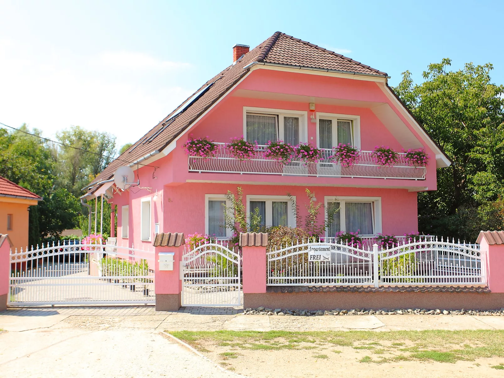 Zsuzsi-Dehors