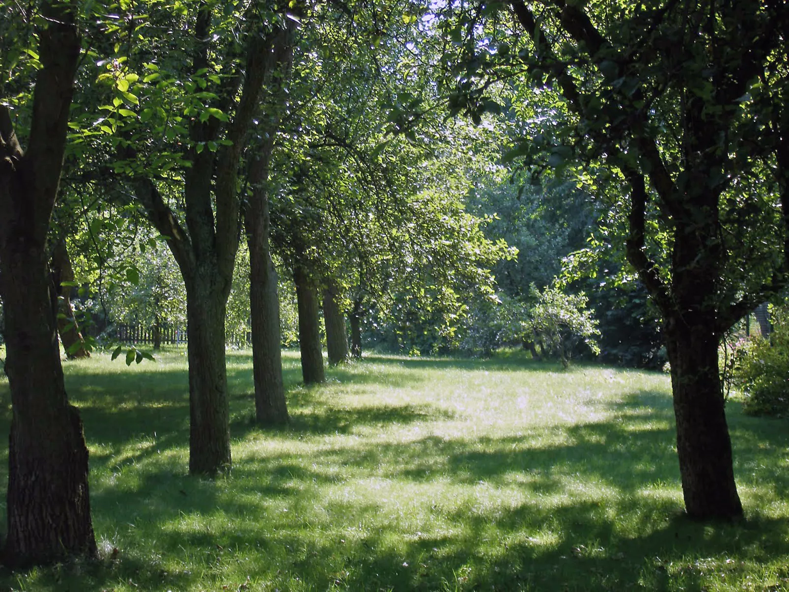 Pękowice-Draußen
