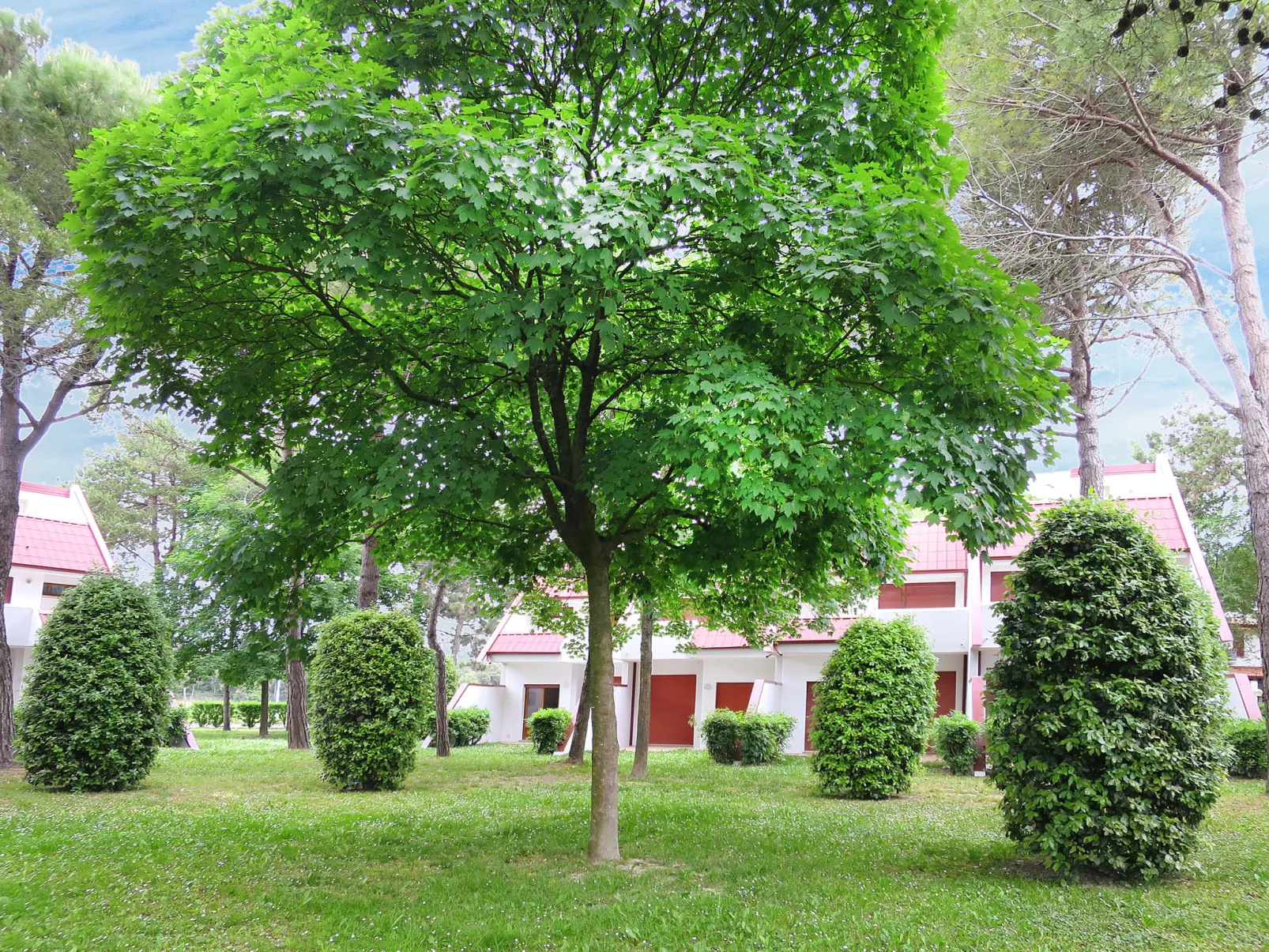 Villaggio Marina-Outside