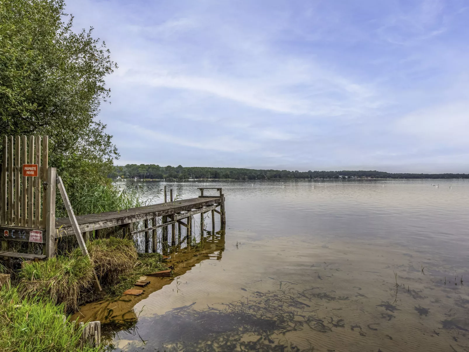 Cottage Etoile de mer-Outside