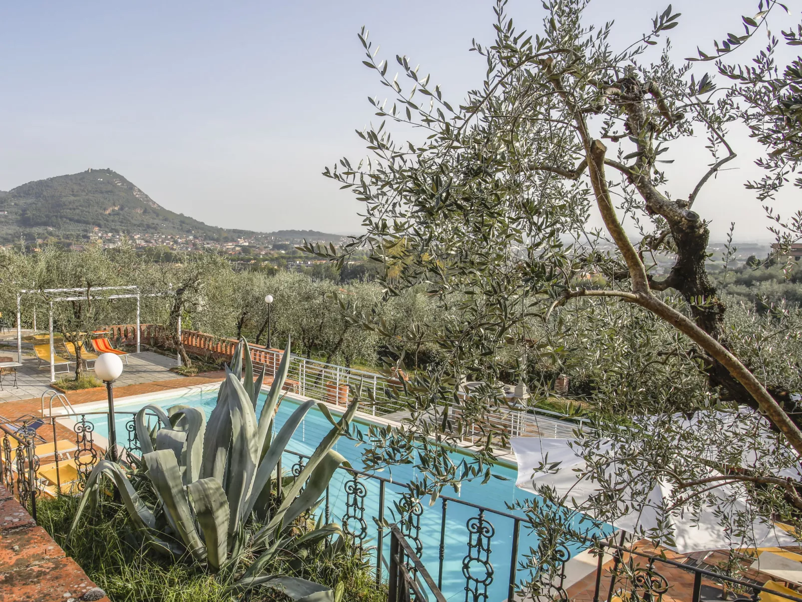 Borgo della Limonaia-Outside