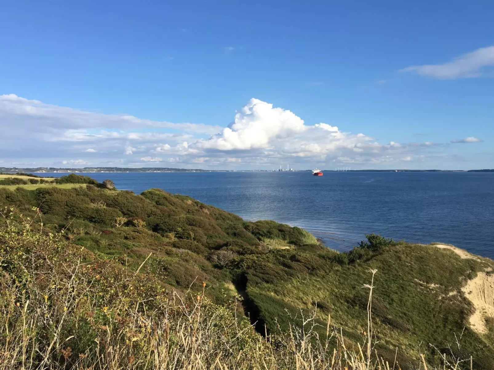 "Miona" - 725m from the sea-Draußen