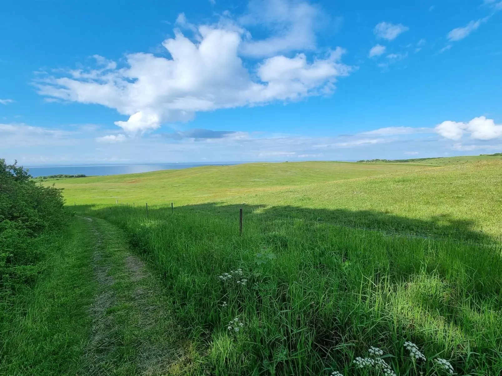 "Miona" - 725m from the sea-Draußen
