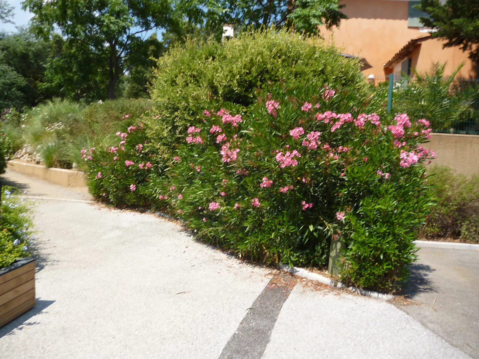 Les Restanques Golfe Saint Tropez-Outside
