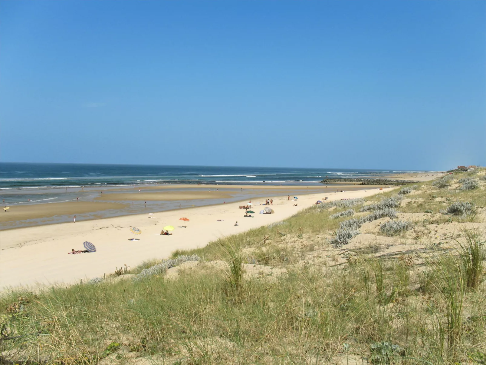 Le Belon-Area
