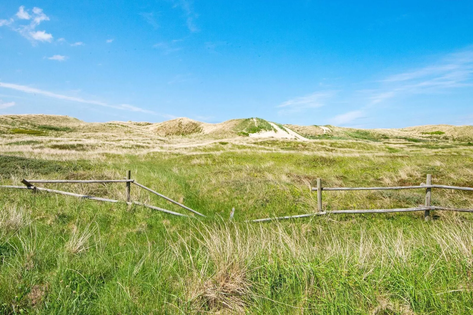 6 person holiday home in Harboøre-View
