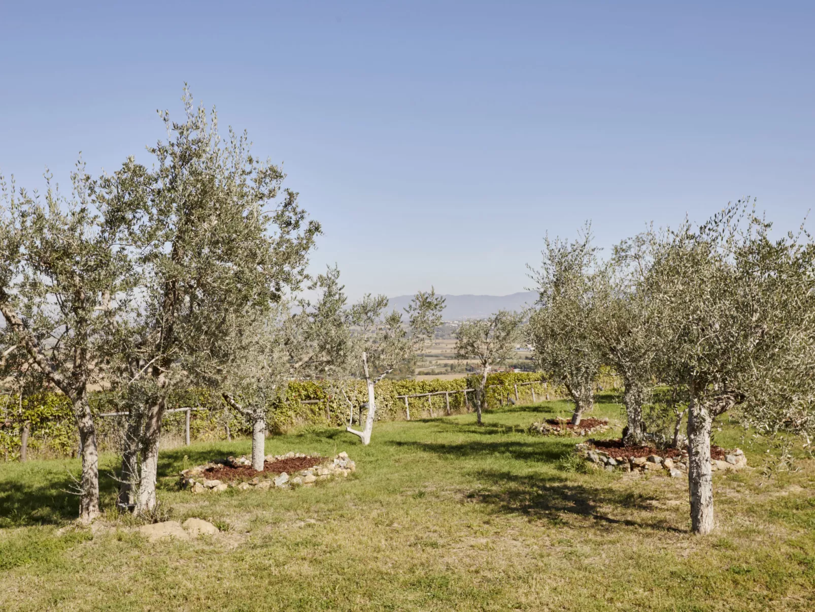 La Smarrita Dei Carradori-Outside