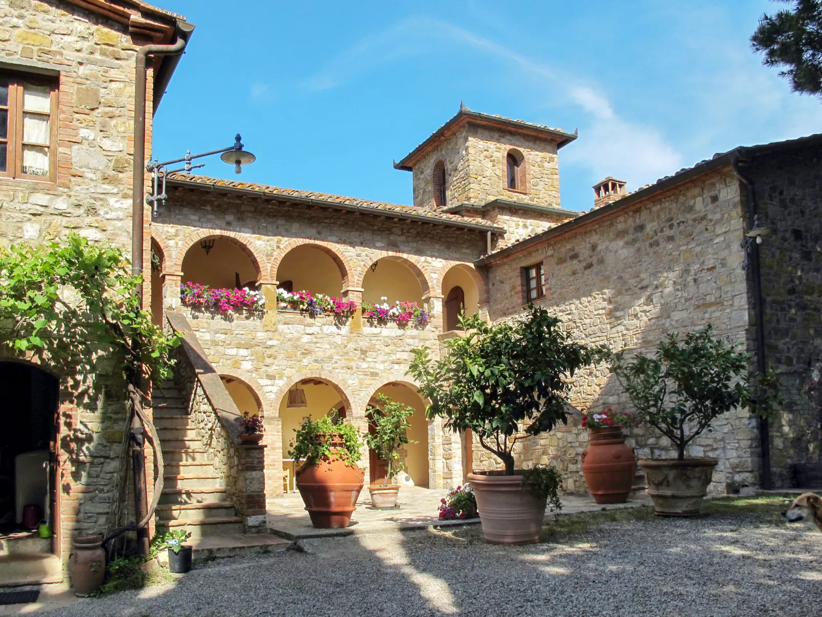 Cellole - Torretta (CTC153)-Outside