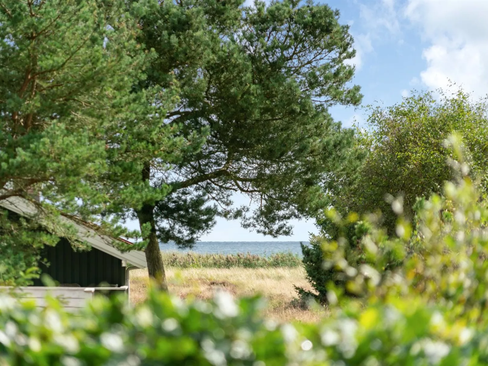 "Elevira" - 200m from the sea