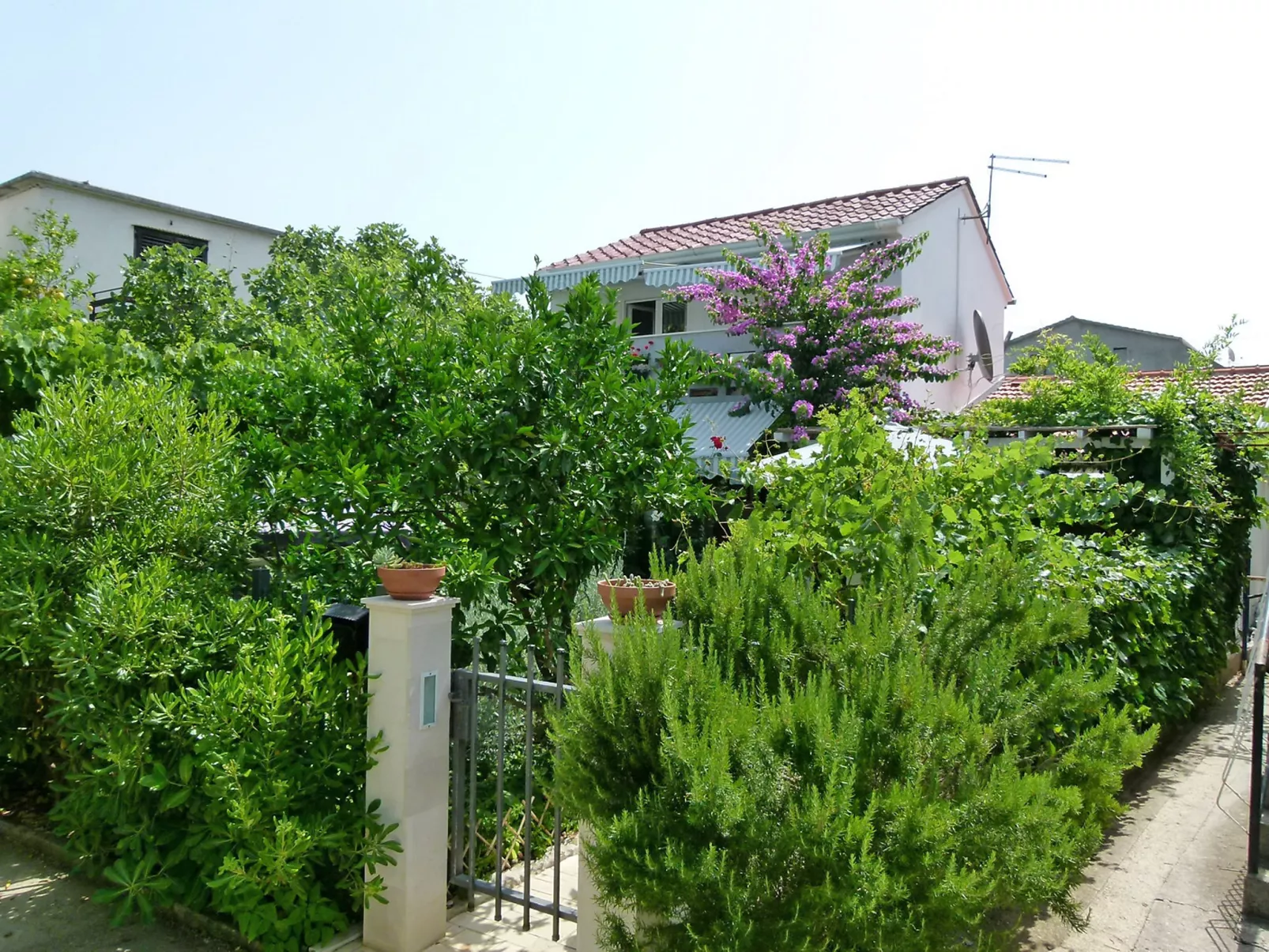 Villa ANiMa-Mia-Dehors