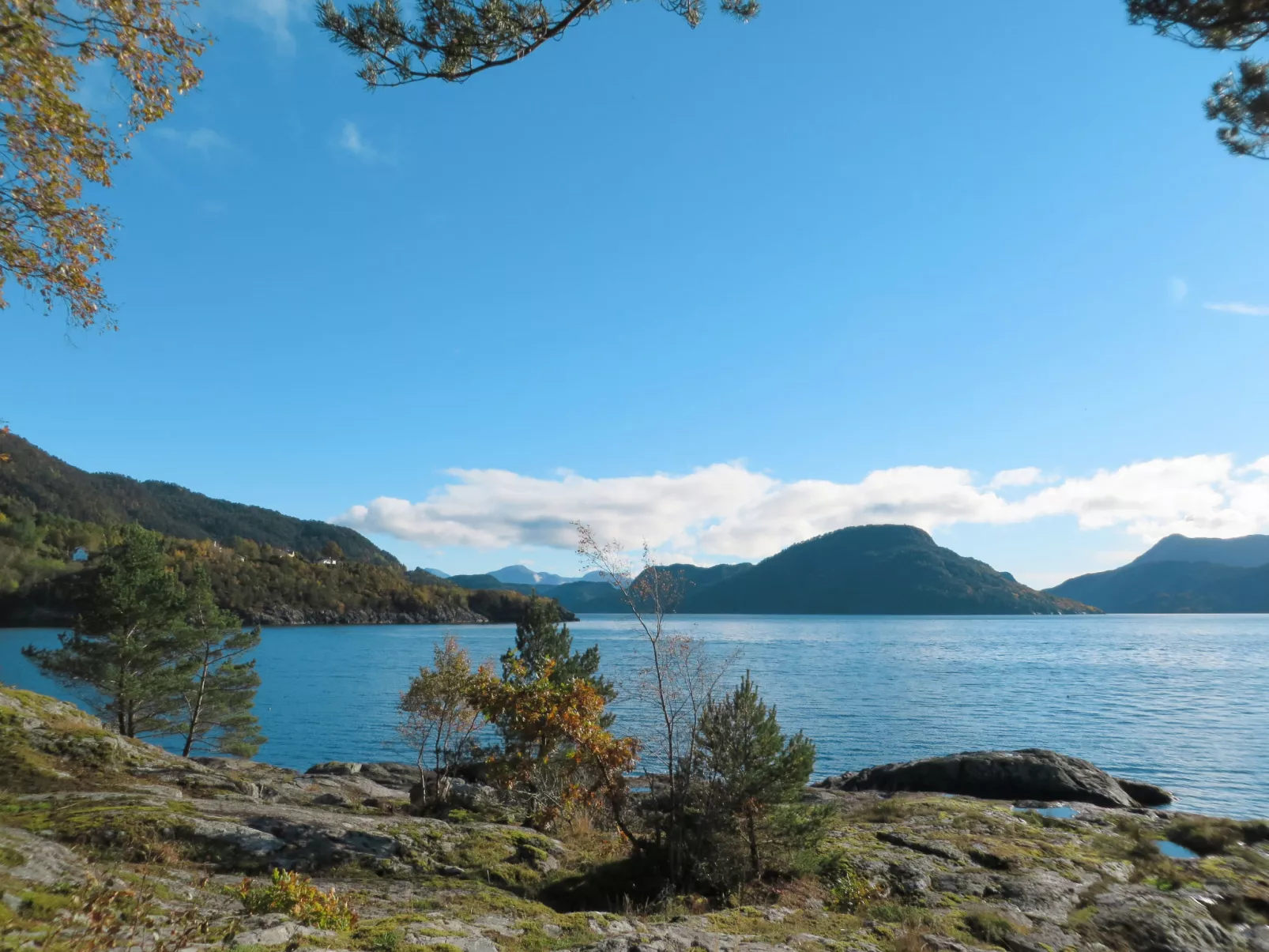 Hjartnesvika-Outside