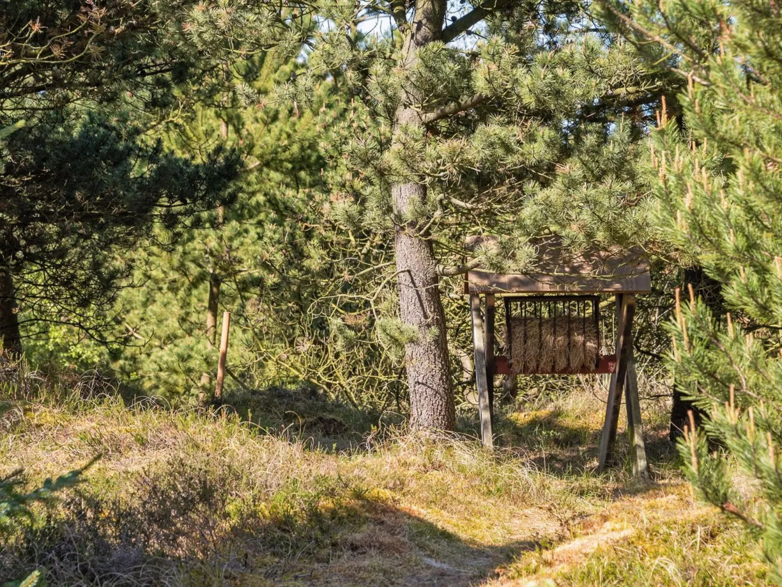 "Bogatin" - 1km from the sea-Outside