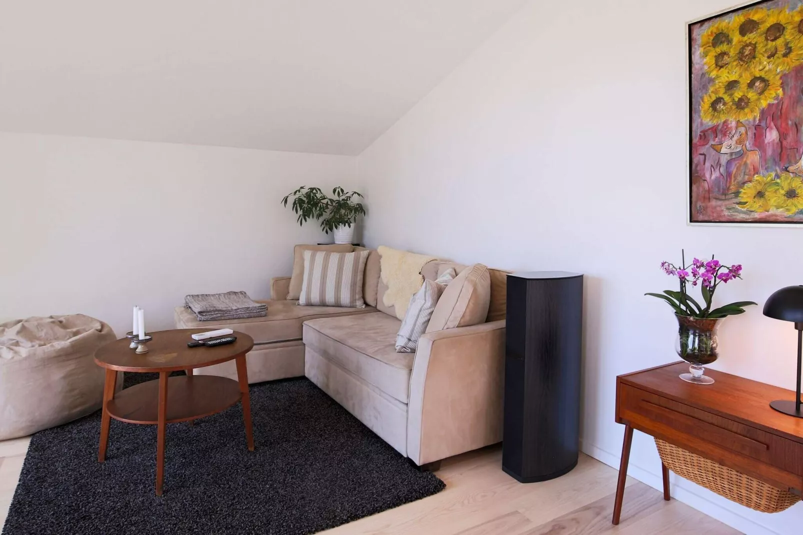 Maison de vacances pour 6 a Jægerspris-Intérieur