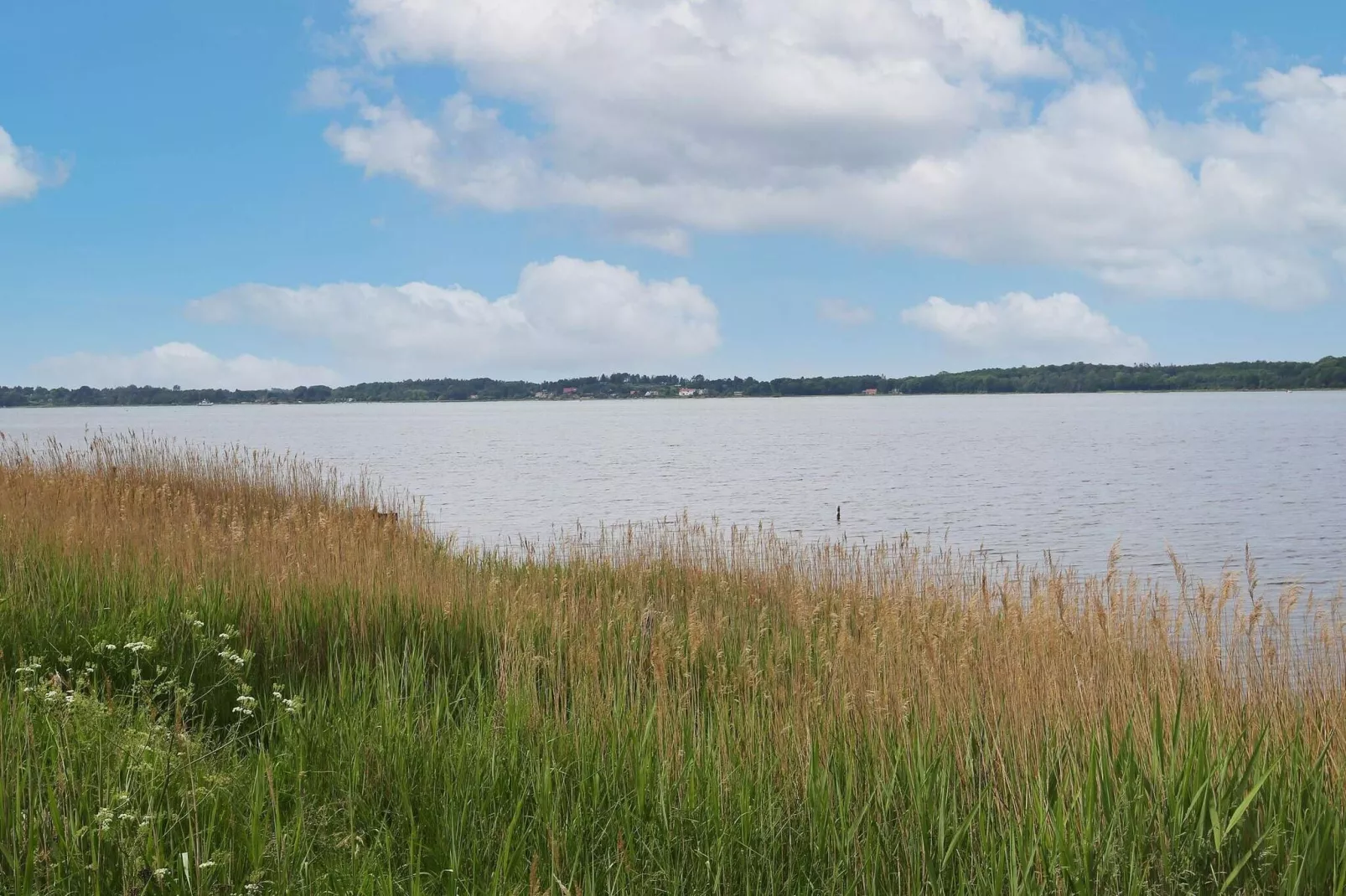 Maison de vacances pour 6 a Jægerspris-Non tagué