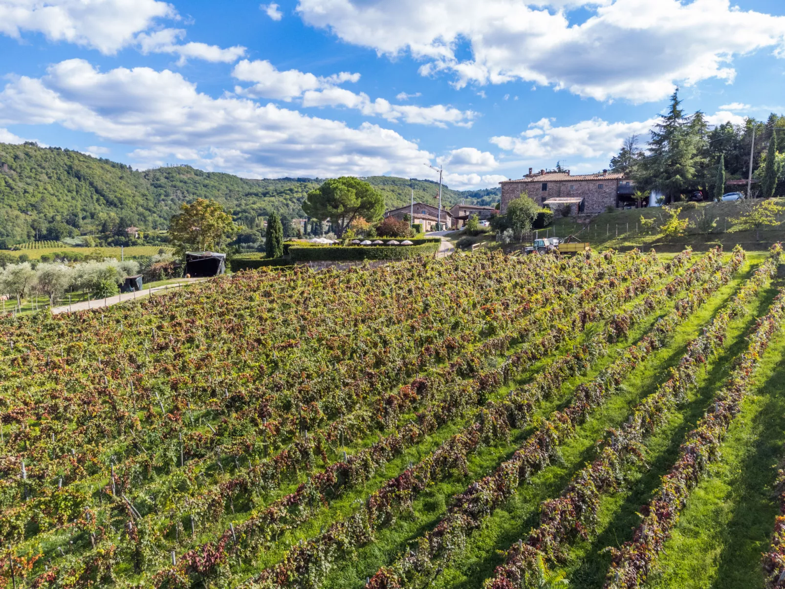 La Vigna-Inside