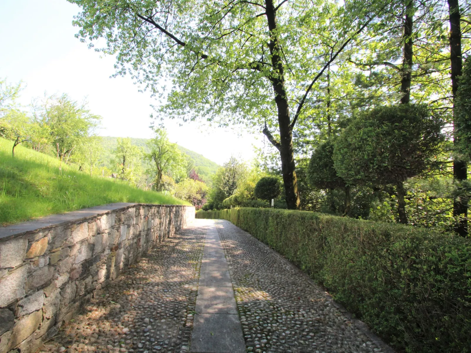 Il Roccolo-Outside
