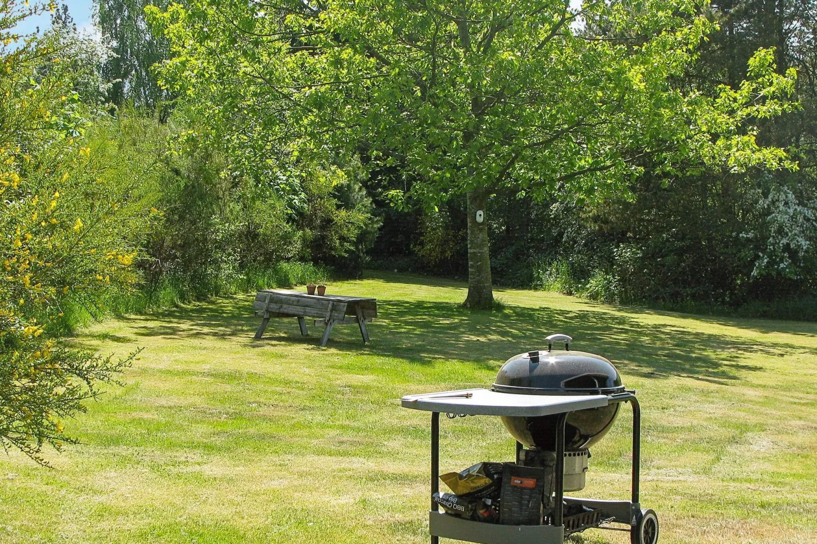4 person holiday home in Højslev-Outdoor