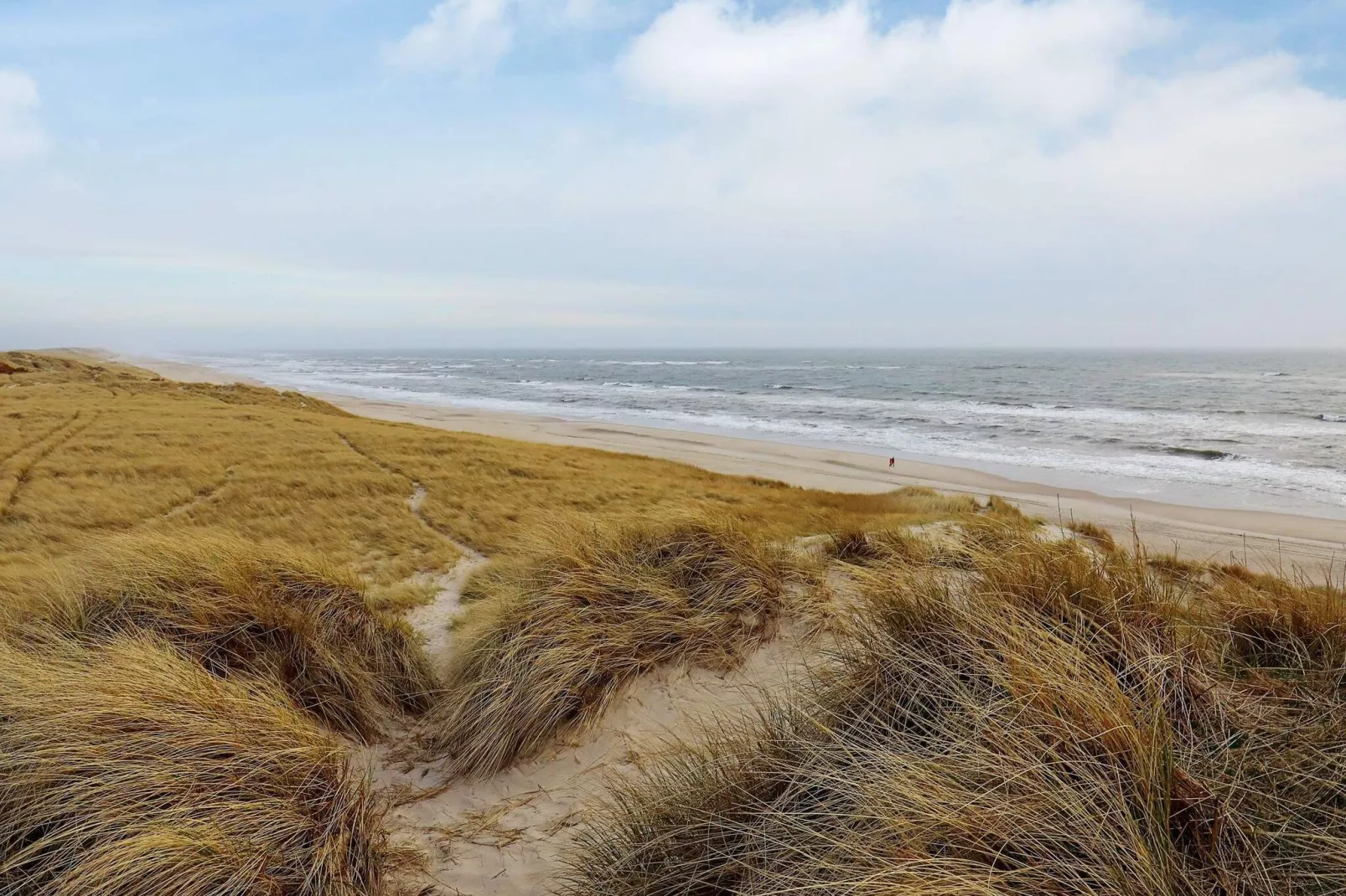 Maison de vacances pour 5 a Hvide Sande-Non tagué