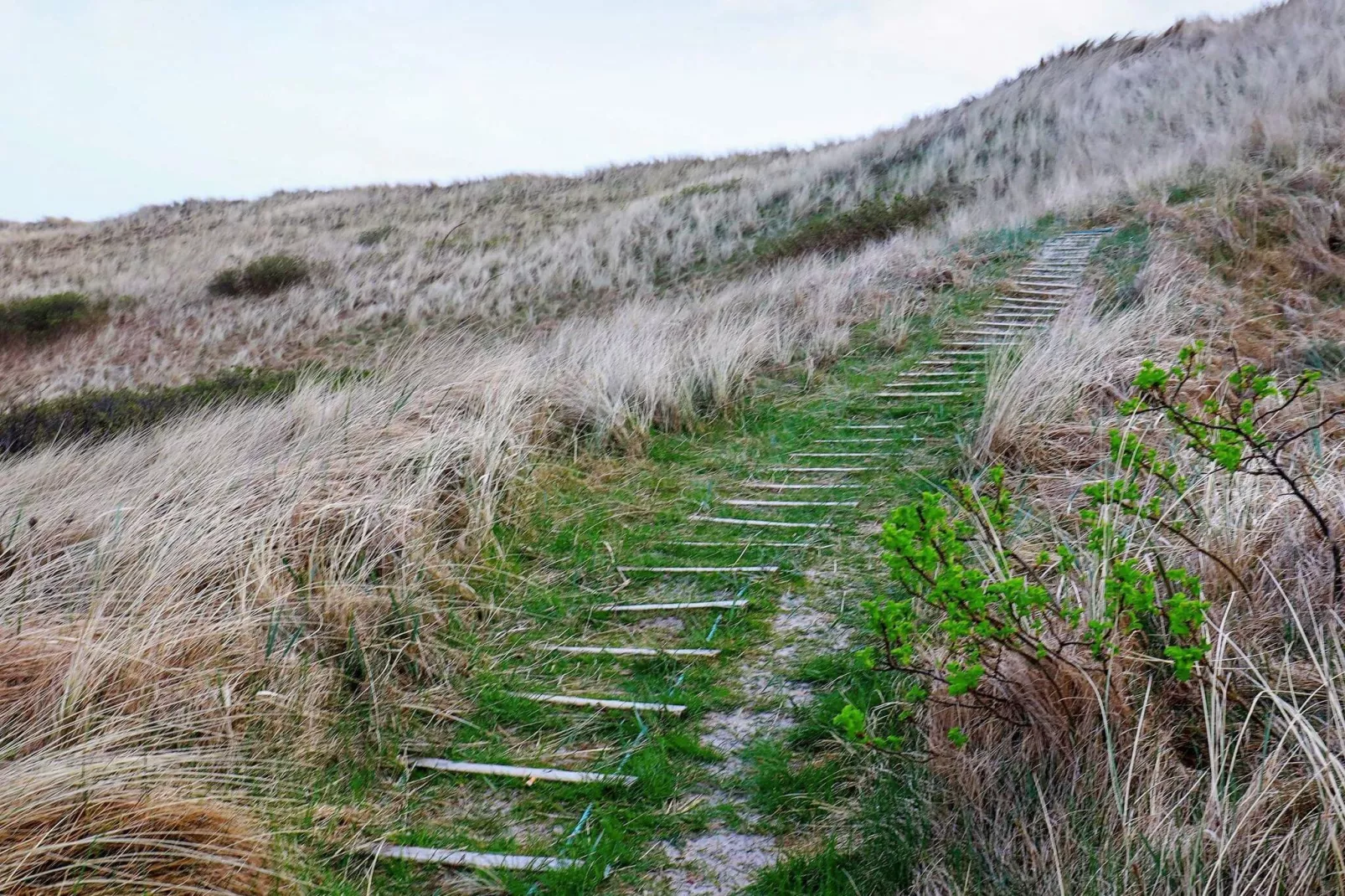 Maison de vacances pour 5 a Hvide Sande-Non tagué