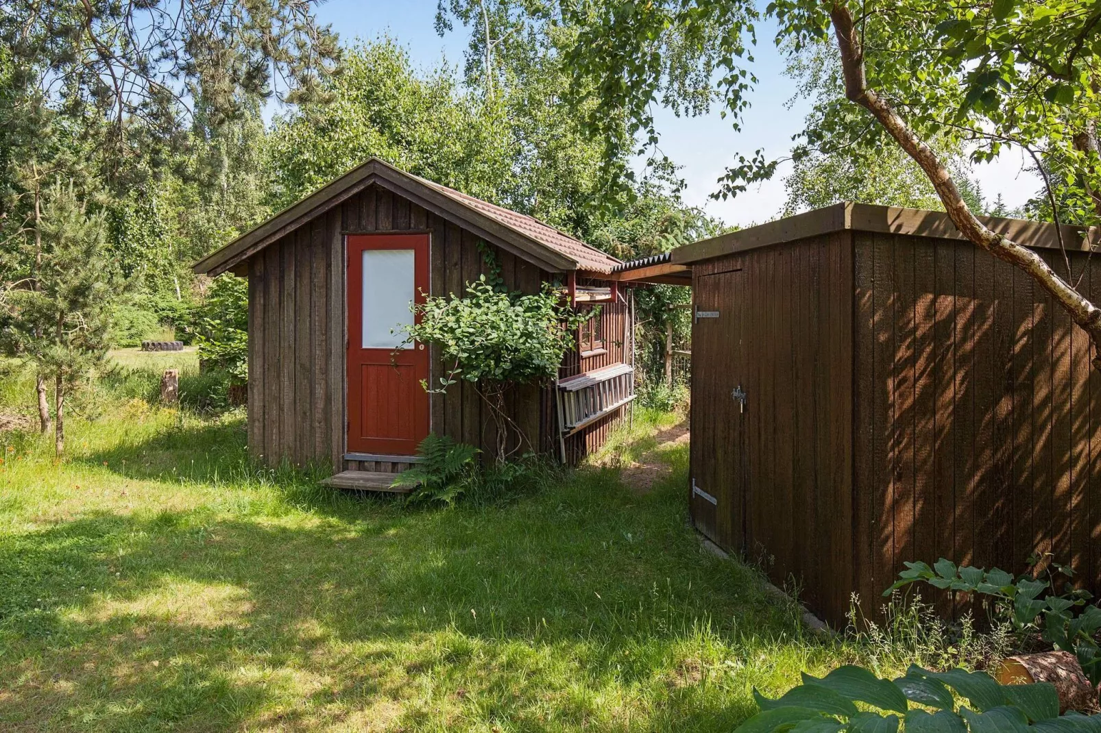 6 Personen Ferienhaus in Gedser-Aussicht
