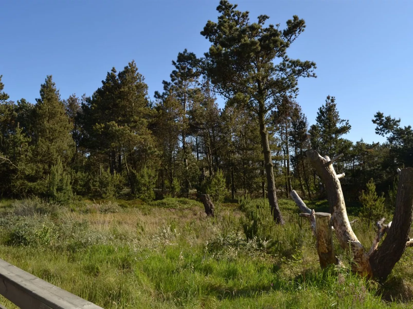 "Harthwik" - 1km from the sea-Outside