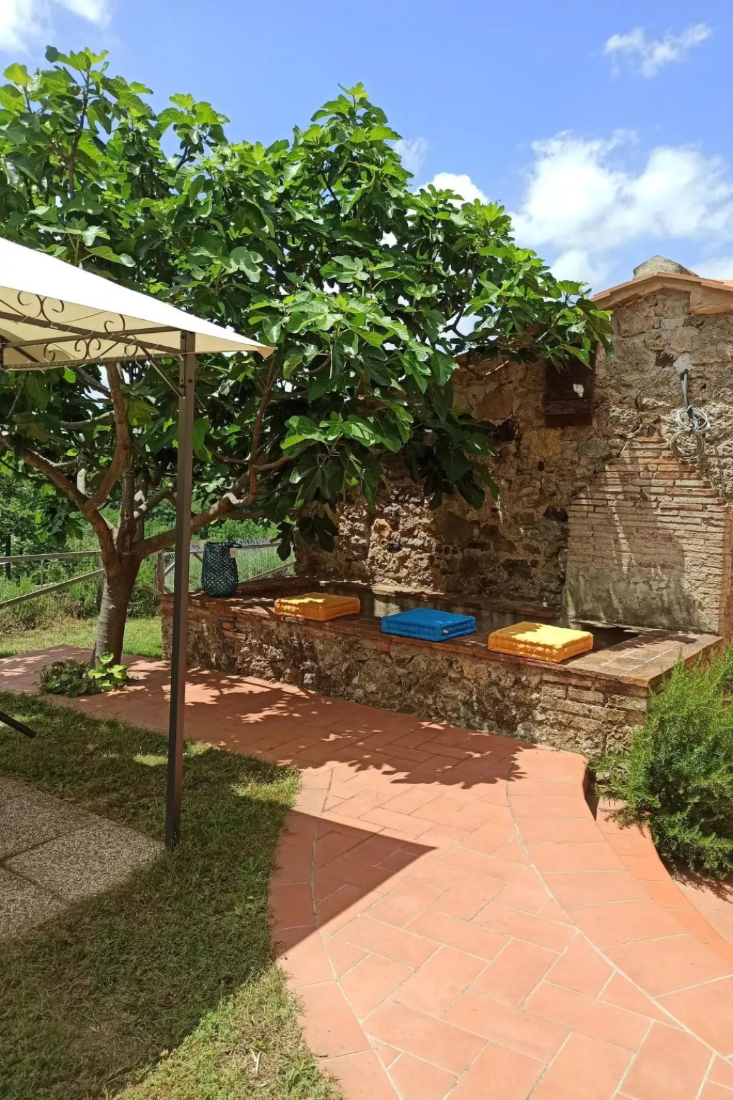 Pian dei Carpini - Janis-Outside
