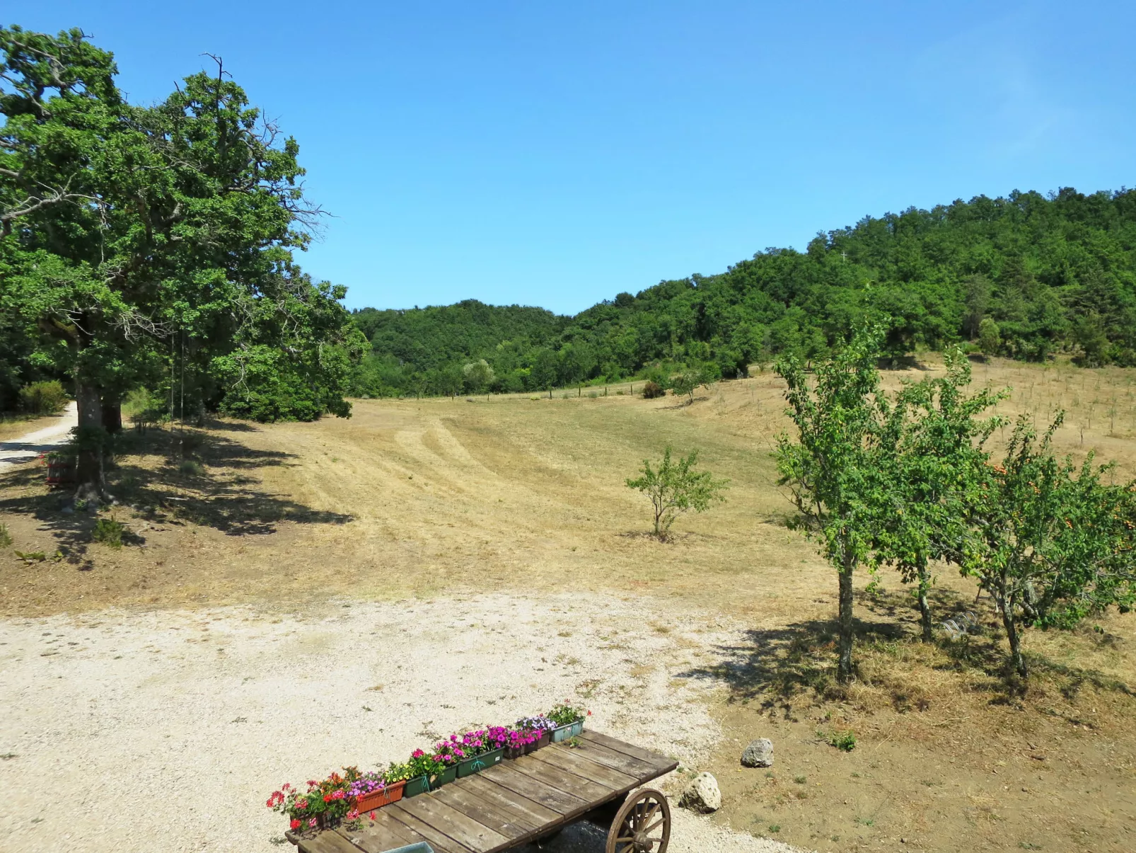 Pian dei Carpini - Janis-Outside