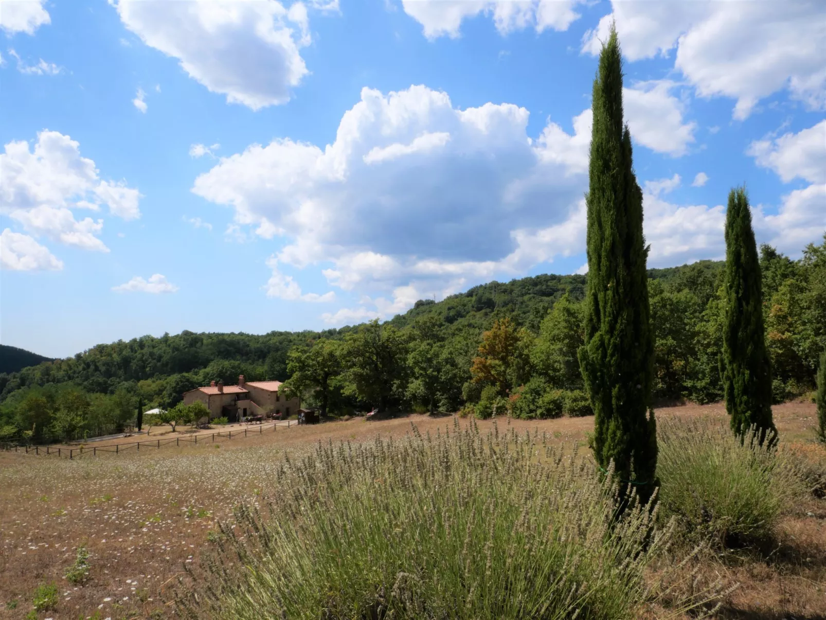 Pian dei Carpini - Janis-Outside