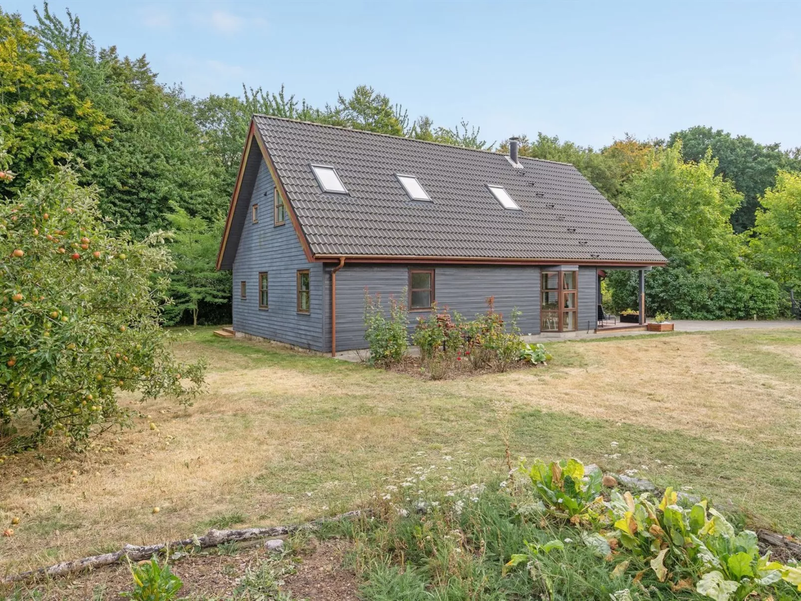 "Jorith" - 550m from the sea-Outside