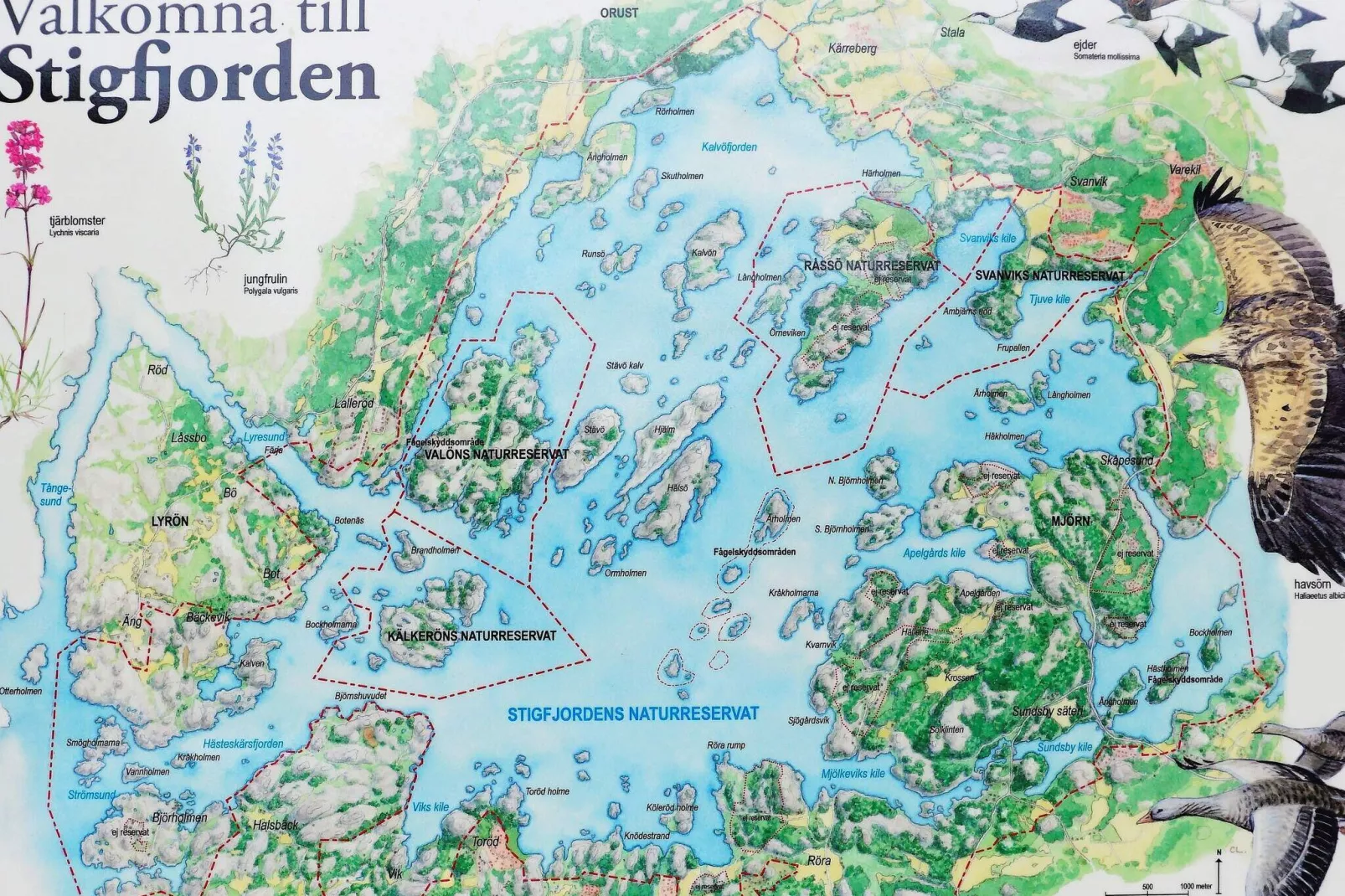 5 person holiday home in Nösund-Not tagged