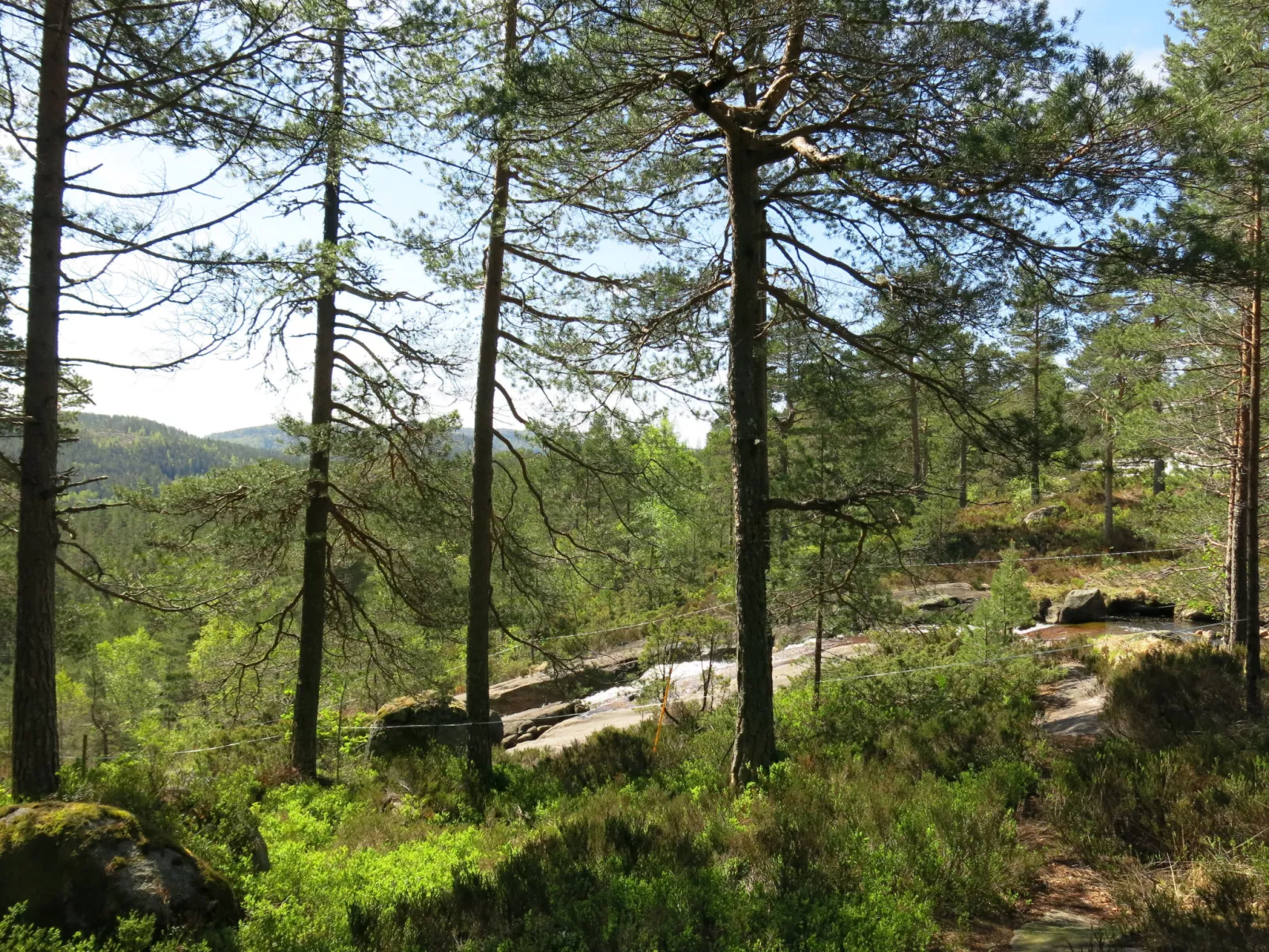Trygvebu-Outside